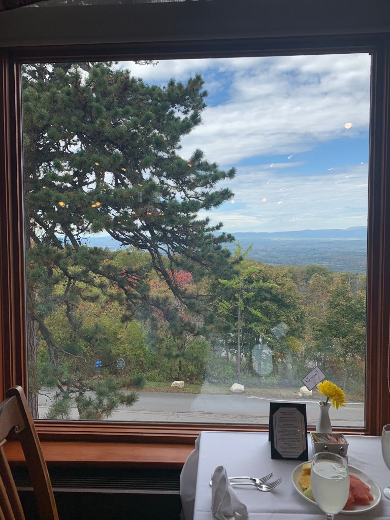 window overlooking the valley
